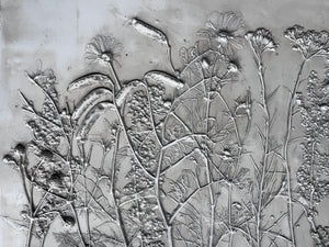 Imprint Botanical casts: Early Autumn Landscape