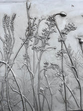 Imprint Botanical casts: Late Summer Landscape