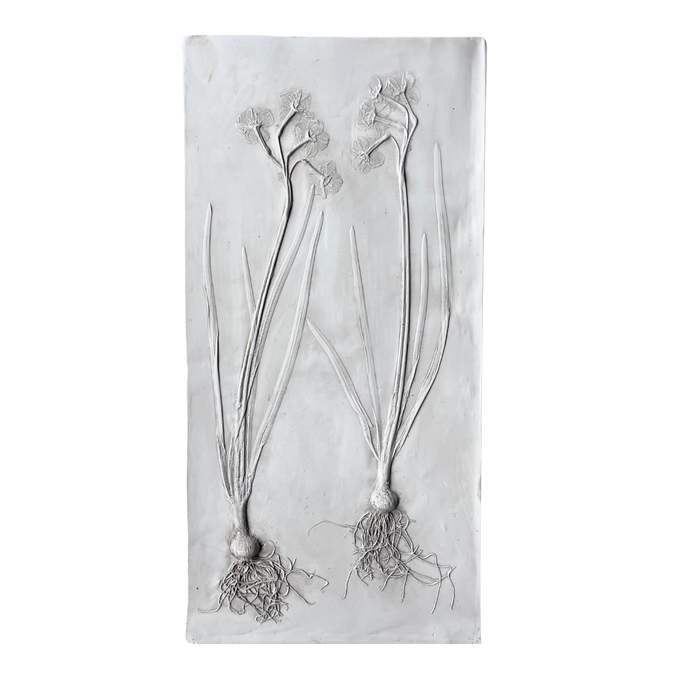 Imprint Botanical Casts: Daffodil with Bulbs