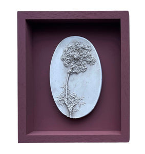 Imprint Casts: Framed Intaglios Queen Anne's Lace